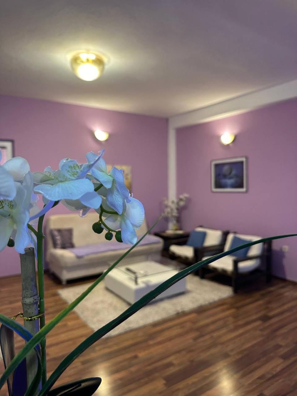 Riaho Apartment Мостар Экстерьер фото